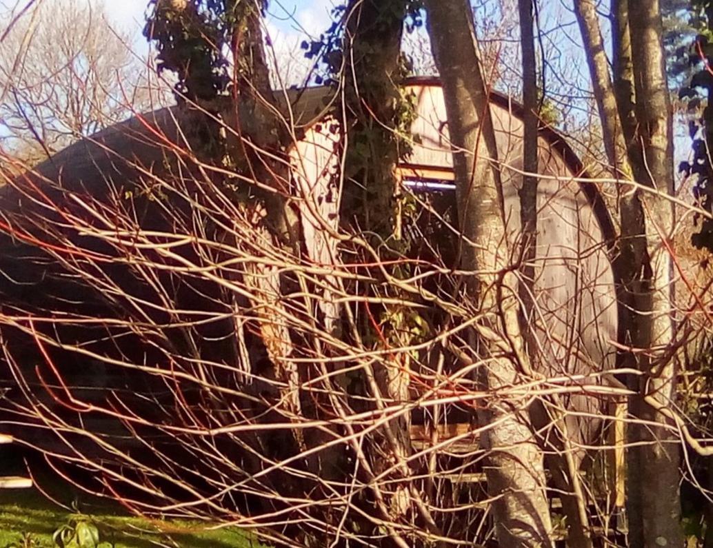" Village Tonneaux De Tirpoil " Montilliers Exterior foto