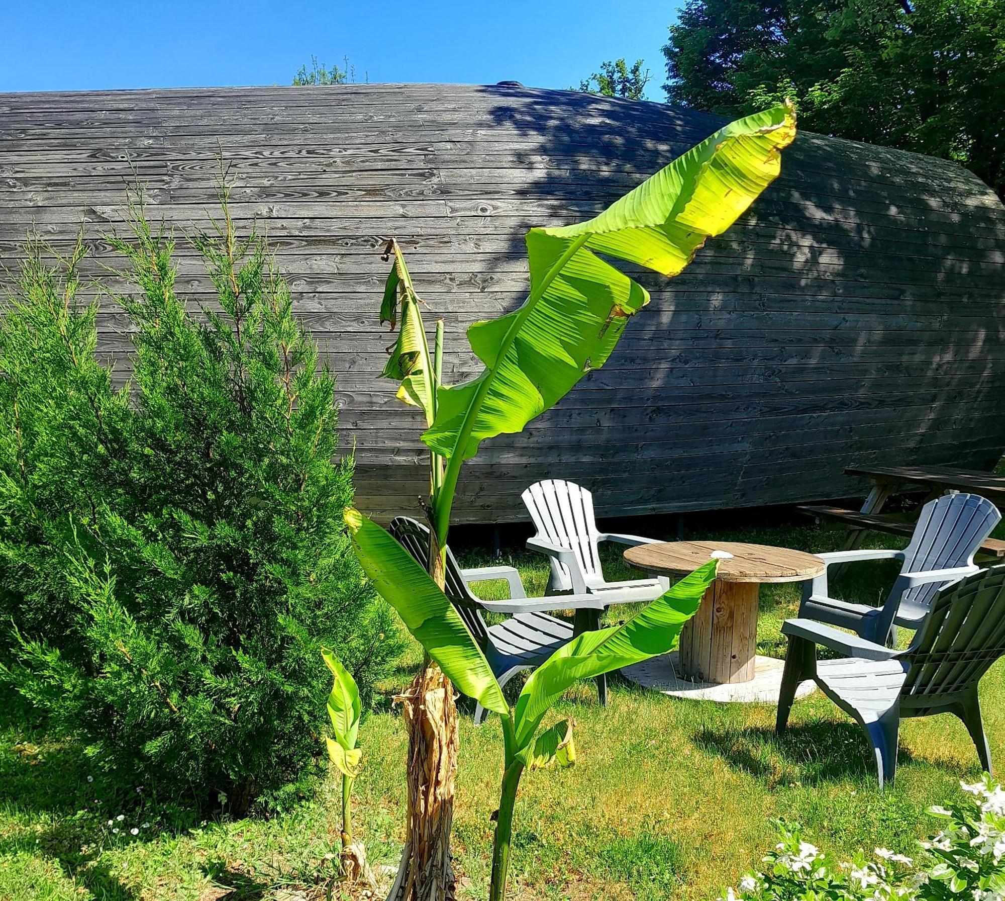 " Village Tonneaux De Tirpoil " Montilliers Exterior foto